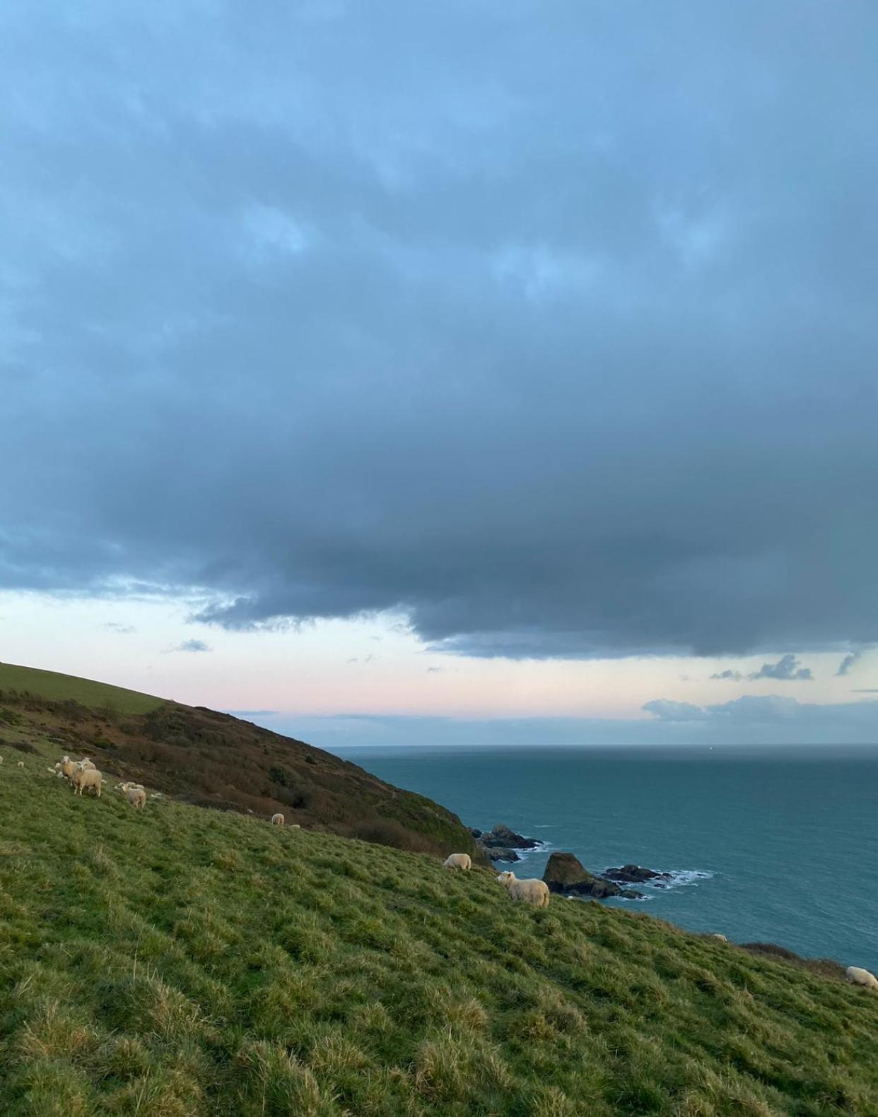 Piran, Little Tregue Lejlighed Polperro Eksteriør billede